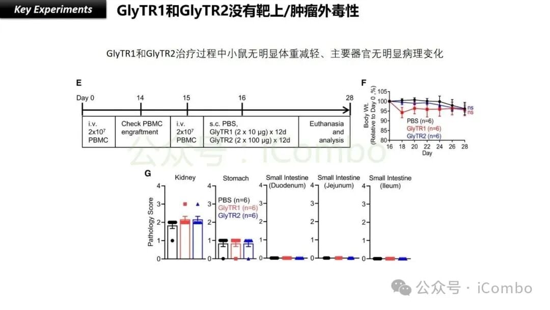 癌症治疗新希望:GlyTR“魔术贴”精准靶向肿瘤,T细胞免疫疗法再升级 16 《Cell》研究报告中GlyTR疗法的关键发现总结