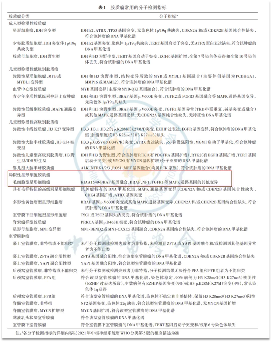 KIAA1549-BRAF融合阳性毛细胞型星形细胞瘤:基因检测、治疗选择及药物获取全攻略 4 胶质瘤分子病理诊断中国专家共识(2025版)对BRAF融合的诊断意义说明