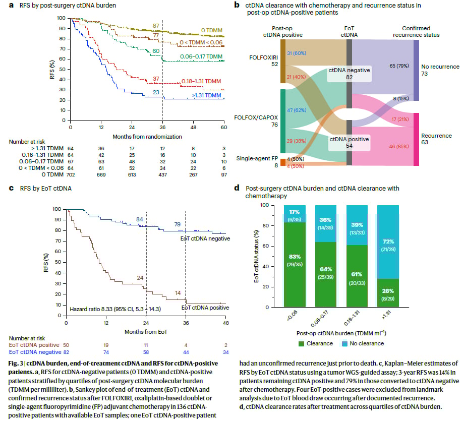 Ⅲ期结肠癌辅助治疗新进展:ctDNA检测精准分层,化疗升降阶最新研究解读 7 ctDNA状态与分子负荷对Ⅲ期结肠癌患者无复发生存率(RFS)及ctDNA清除率的影响