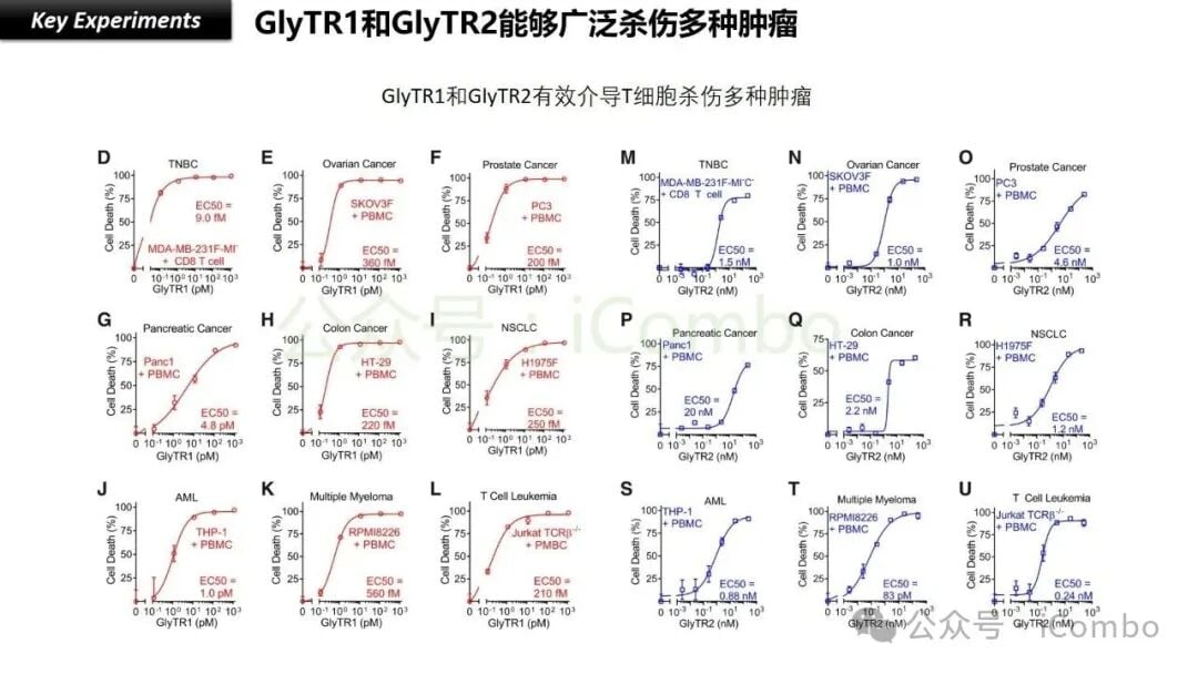 癌症治疗新希望:GlyTR“魔术贴”精准靶向肿瘤,T细胞免疫疗法再升级 10 新型免疫疗法GlyTR在临床前研究中的疗效证据