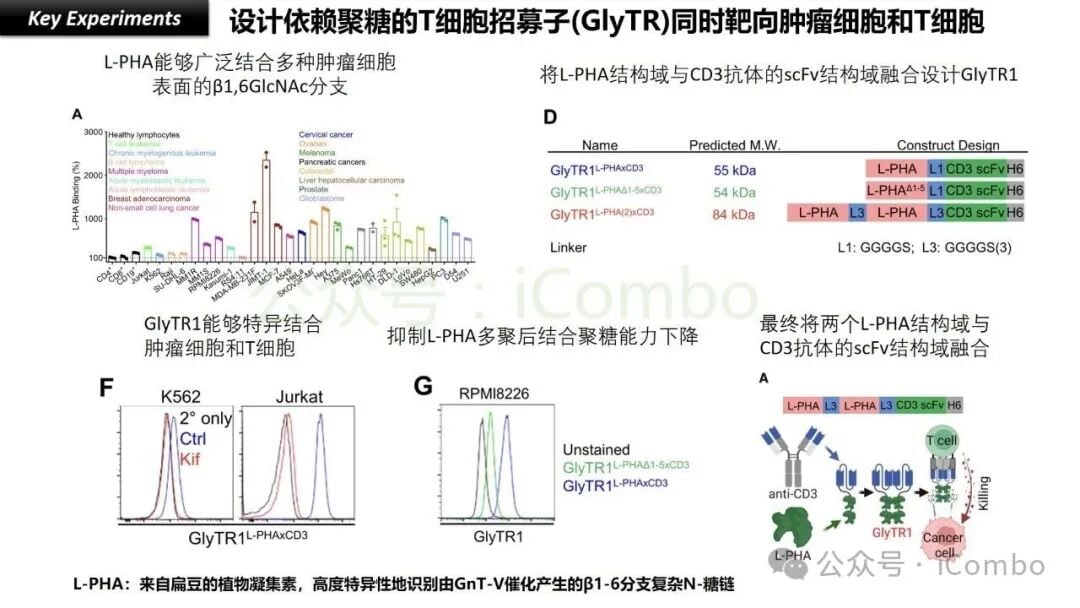 癌症治疗新希望:GlyTR“魔术贴”精准靶向肿瘤,T细胞免疫疗法再升级 6 TACA在不同癌症类型中的表达谱及其作为泛癌种靶点的潜力