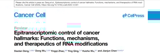 颠覆性抗癌新思路:RNA修饰如何影响癌症,以及未来靶向治疗前景 1 表观转录组对癌症特征的调控:RNA修饰的功能、机制与治疗学示意图