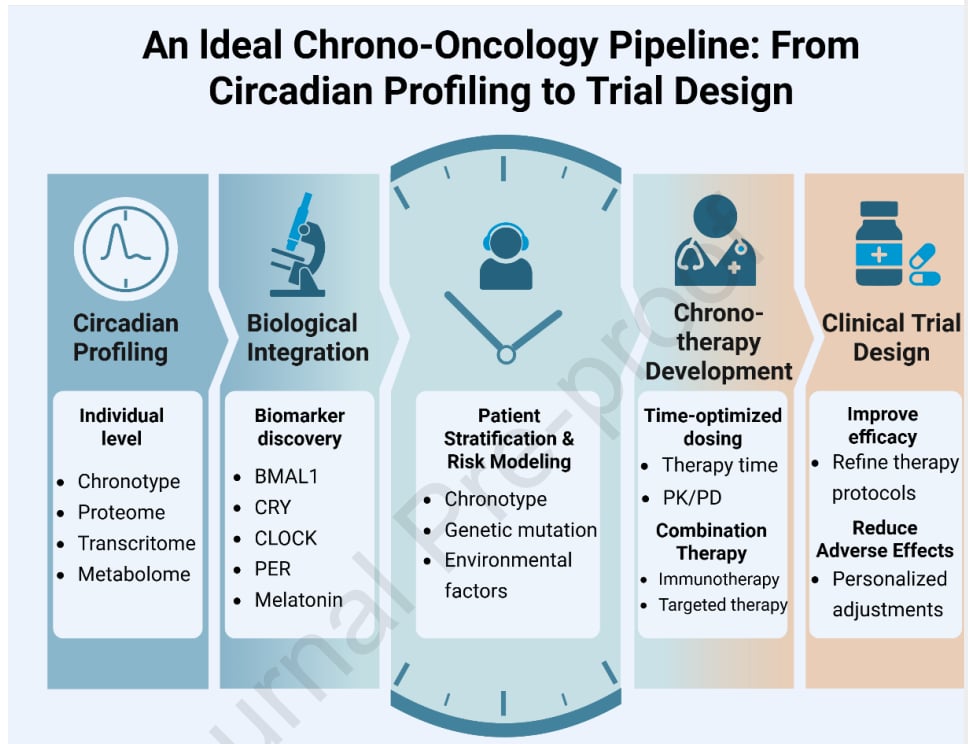 癌症转移的“时间密码”:昼夜节律紊乱如何影响治疗与预后? 6 图5. 理想的时序肿瘤学流程:从昼夜节律分析到试验设计。