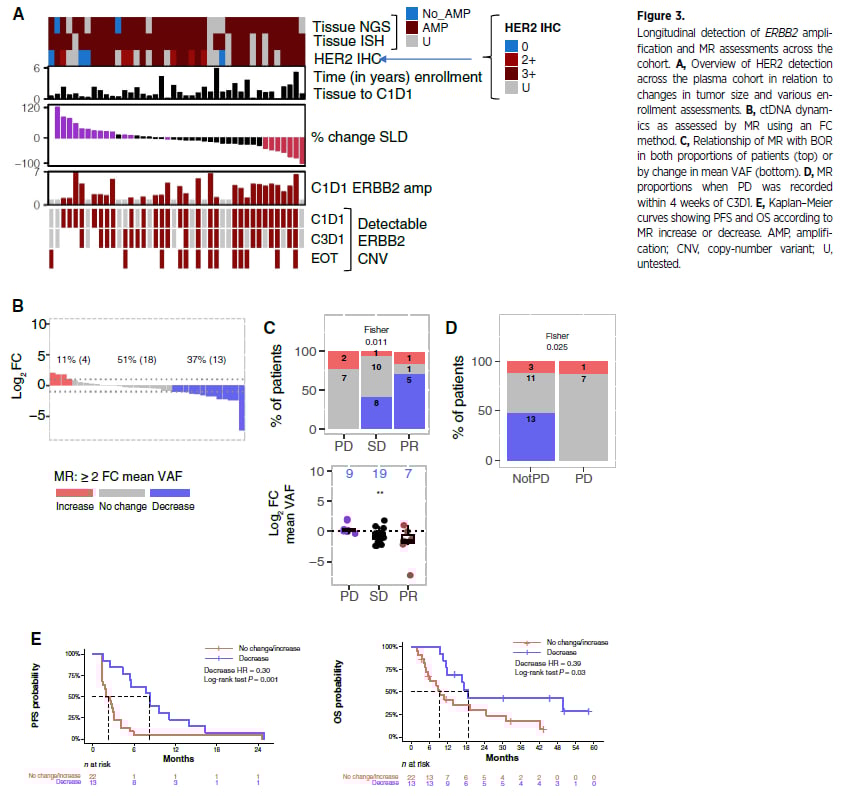 HER2阳性结直肠癌:ctDNA精准监测帕妥珠单抗+曲妥珠单抗疗效与耐药机制 4 ctDNA中ERBB2扩增检测及分子学缓解与患者预后关系图