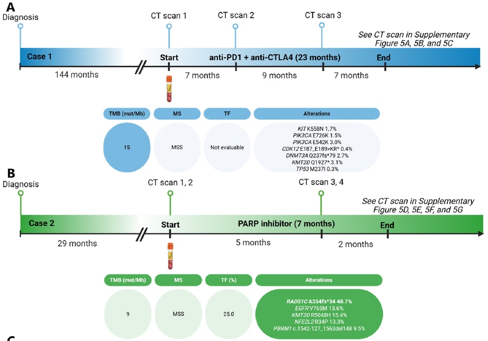 肛门鳞状细胞癌治疗迎来新曙光:液体活检助力精准靶向用药,跨境购药选择多 11 肛门鳞状细胞癌(aSCC)液体活检指导治疗案例1和案例2
