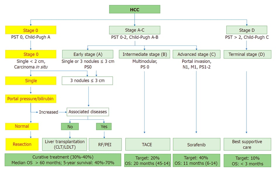 肝癌切除 vs 肝移植:肝癌患者的终极治疗抉择与生存指南 1 HCC的BCLC分期图解:了解肝癌分期对治疗决策的关键作用