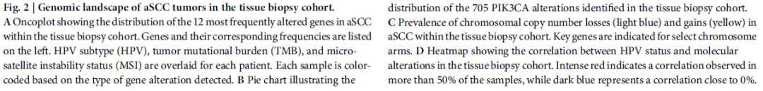 肛门鳞状细胞癌治疗迎来新曙光:液体活检助力精准靶向用药,跨境购药选择多 5 肛门鳞状细胞癌(aSCC)组织活检队列染色体拷贝数变异概览图C