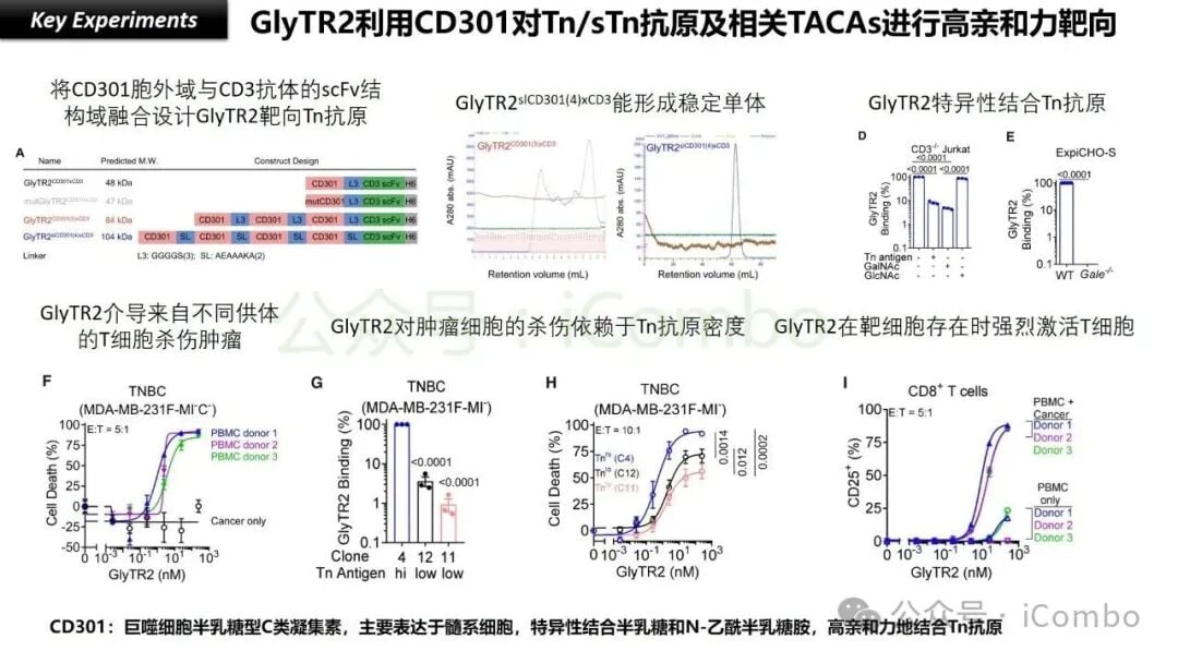 癌症治疗新希望:GlyTR“魔术贴”精准靶向肿瘤,T细胞免疫疗法再升级 8 GlyTR在体外和体内模型中对肿瘤细胞的杀伤效果数据
