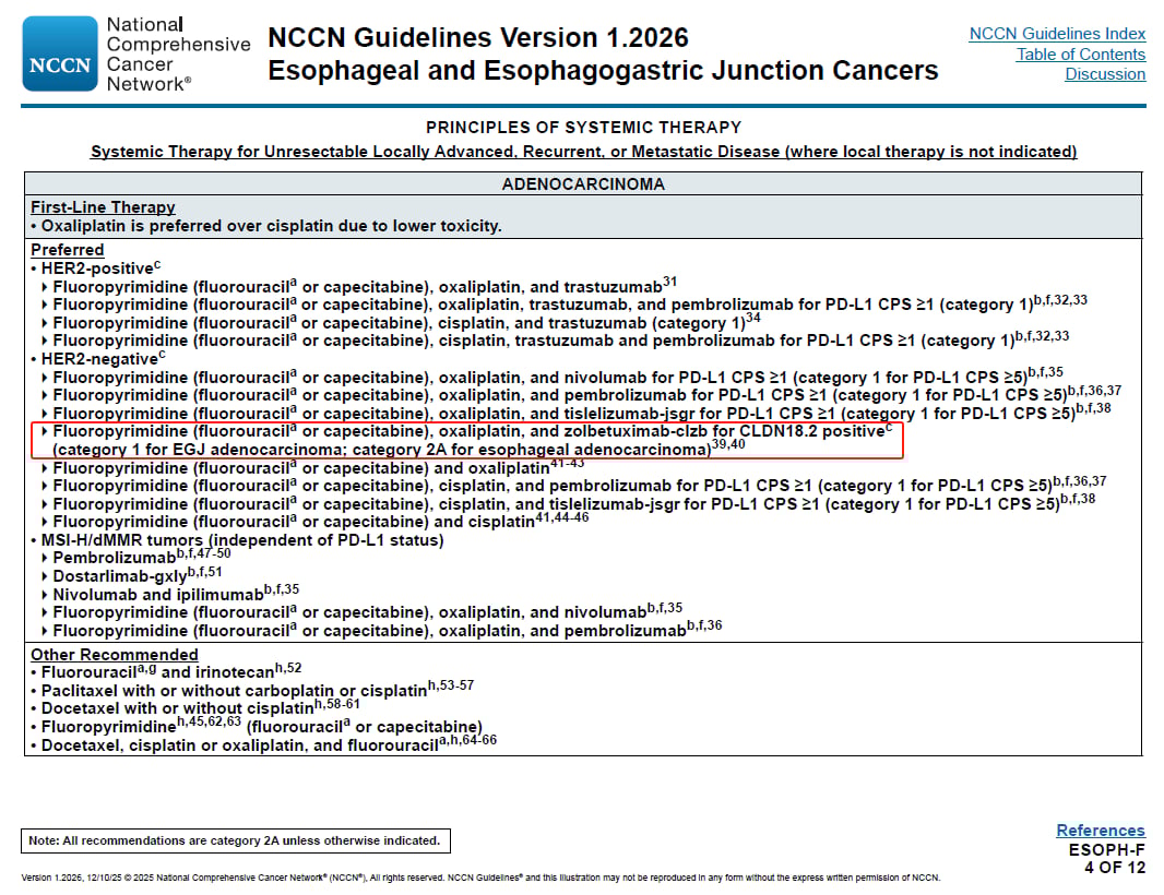 食管癌精准治疗:分子检测、免疫与ADC新药,患者生存新希望! 13 抗体偶联药物(ADC)在晚期食管腺癌治疗中的突破性进展