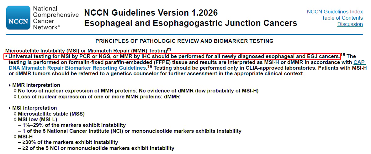 食管癌精准治疗:分子检测、免疫与ADC新药,患者生存新希望! 7 NCCN指南建议食管癌患者进行MSI微卫星不稳定性检测