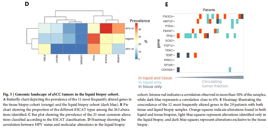 肛门鳞状细胞癌治疗迎来新曙光:液体活检助力精准靶向用药,跨境购药选择多 10 肛门鳞状细胞癌(aSCC)液体活检与组织活检的可干预靶点一致性及HPV检测结果图5B和5C
