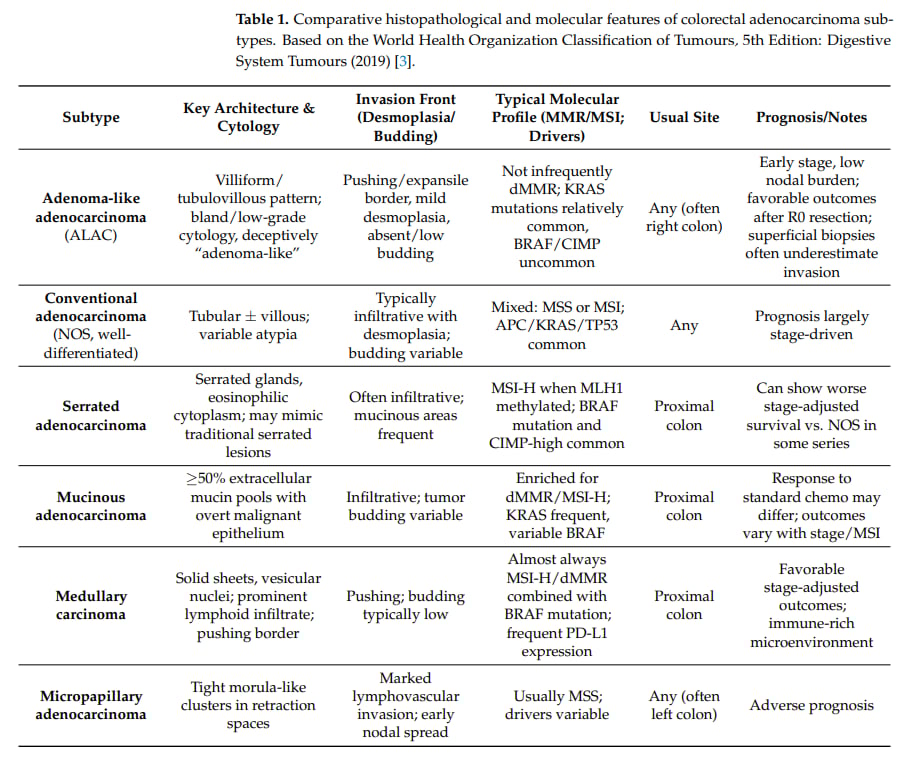 结肠腺瘤样腺癌(ALAC)深度解读:易误诊却预后良好?dMMR检测助您精准辨识! 2 结直肠腺癌亚型的组织病理学和分子特征比较表