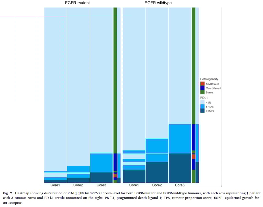 非小细胞肺癌(NSCLC)PD-L1检测:EGFR突变如何影响免疫治疗选择? 6 图2:SP263检测下EGFR突变型与野生型肿瘤PD-L1 TPS评分热图,显示异质性分布