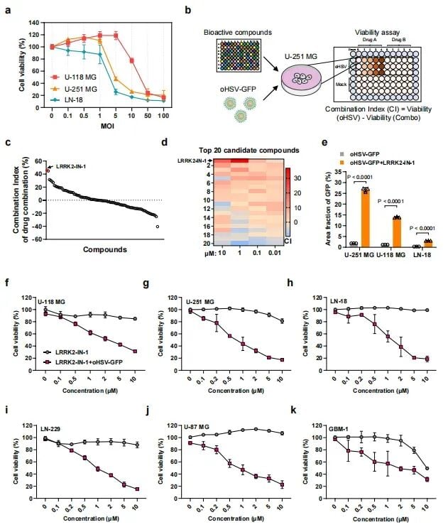 帕金森药物竟能“助攻”脑瘤治疗?夏宁邵团队Nature子刊发文:LRRK2抑制剂协同溶瘤病毒,胶质母细胞瘤迎来新曙光 2 图1:LRRK2抑制剂LRRK2-IN-1被筛选为最有效的溶瘤病毒增敏剂,显著提升感染效率