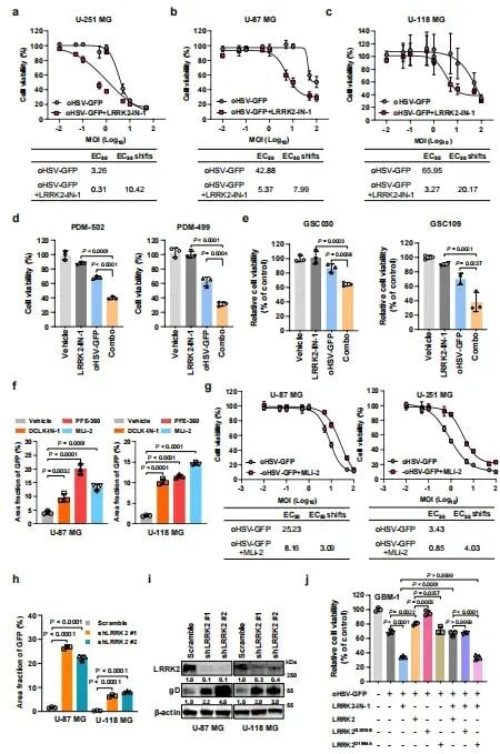 帕金森药物竟能“助攻”脑瘤治疗?夏宁邵团队Nature子刊发文:LRRK2抑制剂协同溶瘤病毒,胶质母细胞瘤迎来新曙光 3 图2:实验证实LRRK2抑制剂能降低多种GBM细胞及干细胞对溶瘤病毒的EC50半数有效浓度