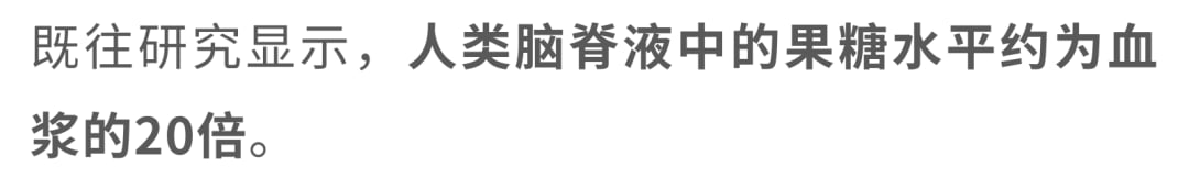 果糖与胶质母细胞瘤:奶茶甜饮会促癌吗?机制、风险与饮食避坑指南 2 脑内果糖供给与肿瘤微环境代谢特点示意图