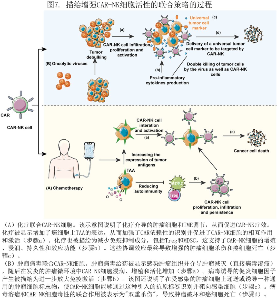 CAR-NK细胞疗法是什么?更安全的“现货型”免疫治疗进展、风险与就医要点 7 CAR-NK联合治疗与肿瘤微环境应对策略示意图:化疗联合、溶瘤病毒与TGF-β抑制通路