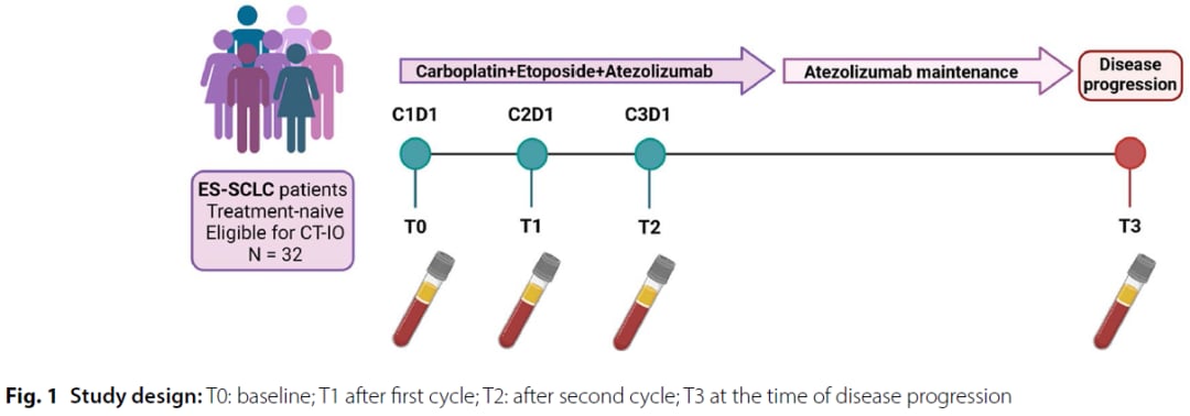 小细胞肺癌进展快不用怕?抽血即测阿替利珠单抗疗效,深度解析生存预后 1 液体活检在小细胞肺癌治疗过程中的样本采集时间轴示意图