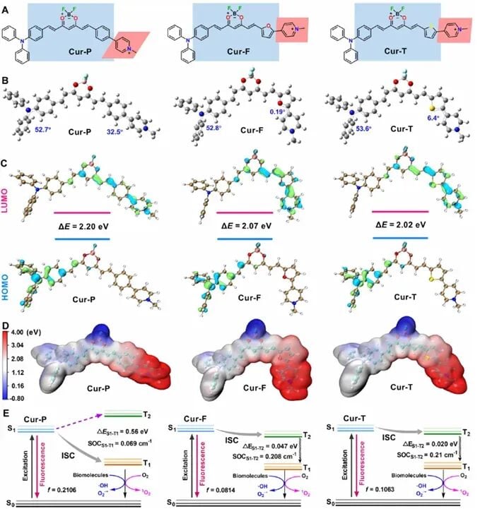 姜黄素变身“抗癌炸弹”?国产Cur-T光敏剂通过铁死亡围剿肿瘤 4 图2:通过理论计算揭示Cur-T在分子能级上的优势