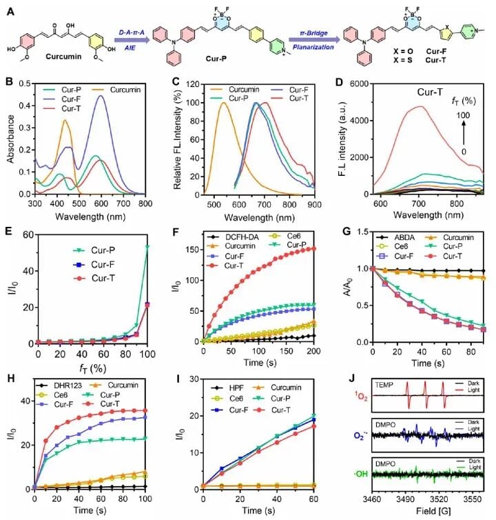 姜黄素变身“抗癌炸弹”?国产Cur-T光敏剂通过铁死亡围剿肿瘤 3 图1:Cur-T分子设计策略及抑制自噬、激活免疫的作用路径示意图