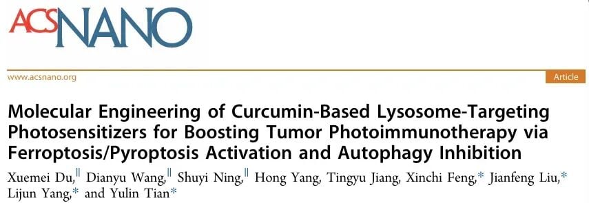 姜黄素变身“抗癌炸弹”?国产Cur-T光敏剂通过铁死亡围剿肿瘤 1 Cur-T光敏剂激活免疫反应的分子机制概览