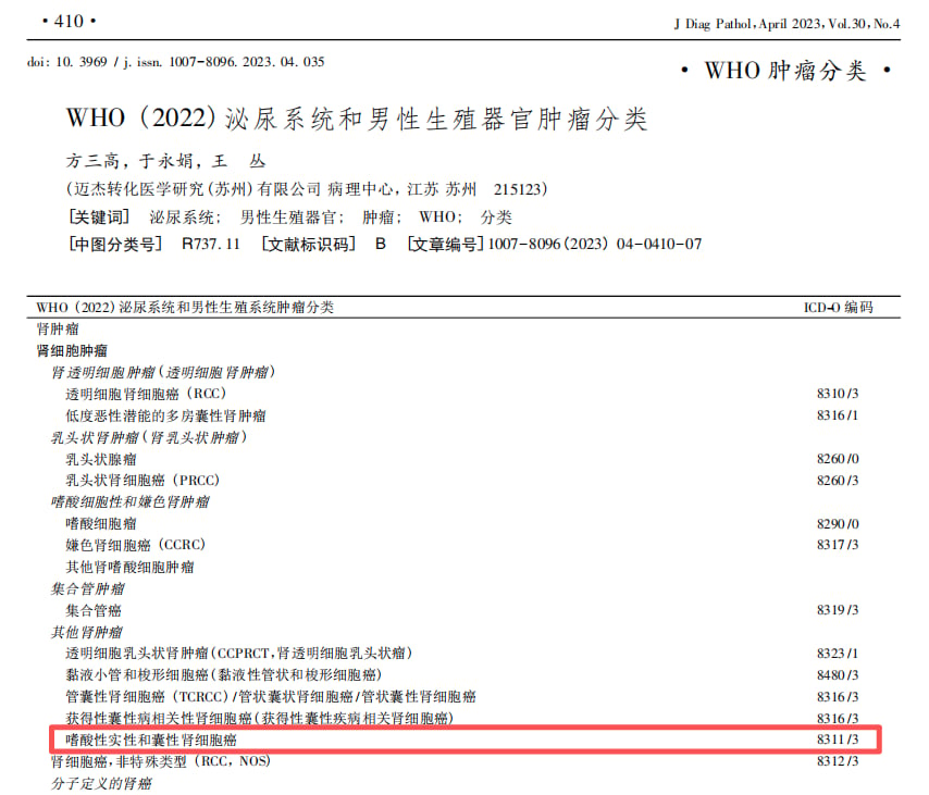 嗜酸性实性和囊性肾细胞癌怎么治?儿童肾肿瘤诊断、手术与用药全解析 1 WHO 2022泌尿系统肿瘤分类中的嗜酸性实性和囊性肾细胞癌示意