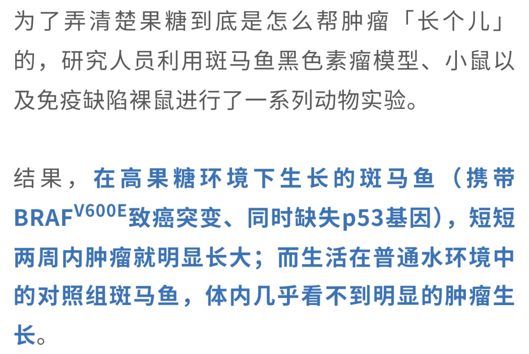 果糖与胶质母细胞瘤:奶茶甜饮会促癌吗?机制、风险与饮食避坑指南 8 乳腺癌和宫颈癌模型中果糖间接促瘤作用的数据图