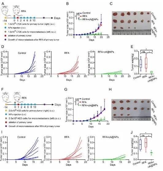 肝癌/结直肠癌消融后怕复发?北肿团队研发纳米黑科技,双重逆转免疫抑制! 4 cA@NPs预防肿瘤复发的再攻击模型数据