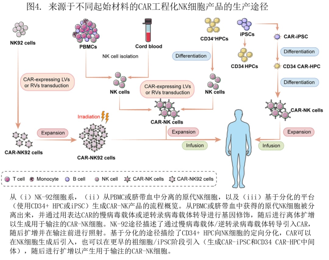 CAR-NK细胞疗法是什么?更安全的“现货型”免疫治疗进展、风险与就医要点 5 CAR-NK细胞来源与制造流程对比图:外周血、脐带血、iPSC与NK-92及病毒/非病毒递送