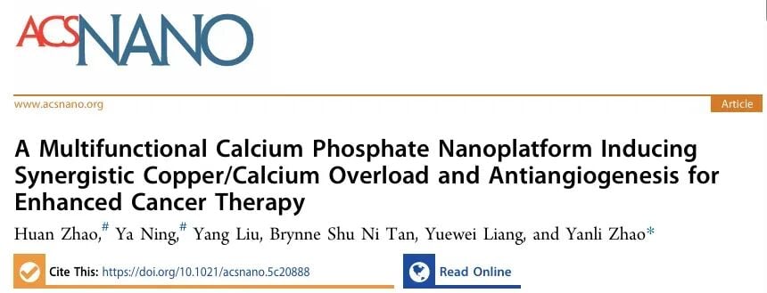 肿瘤“断粮”加“中毒”!新型纳米平台协同铜死亡与钙过载,让癌细胞无处遁形 1 CaP/Cu-F纳米平台通过协同诱导铜死亡、钙过载和抗血管生成增强癌症治疗的整体作用机制图