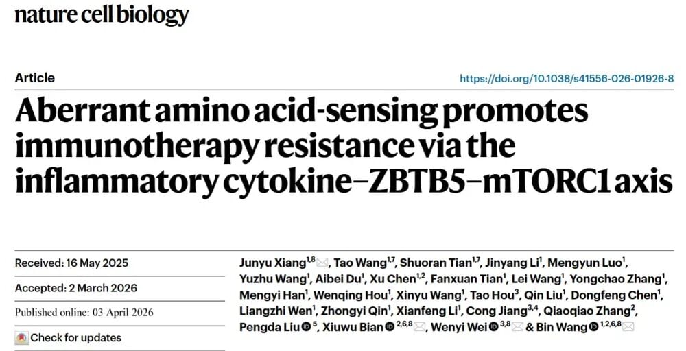 肿瘤免疫治疗耐药怎么破?mTORC1炎症通路机制与新靶点解读 1 肿瘤炎症信号重塑免疫微环境与mTORC1异常激活机制示意图