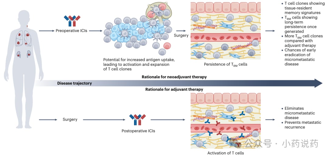 辅助与围手术期免疫治疗怎么选?PD-1/PD-L1在肺癌等可切除肿瘤的证据与策略 1 辅助与围手术期PD-1/PD-L1免疫治疗在早期实体瘤中的证据与挑战示意图