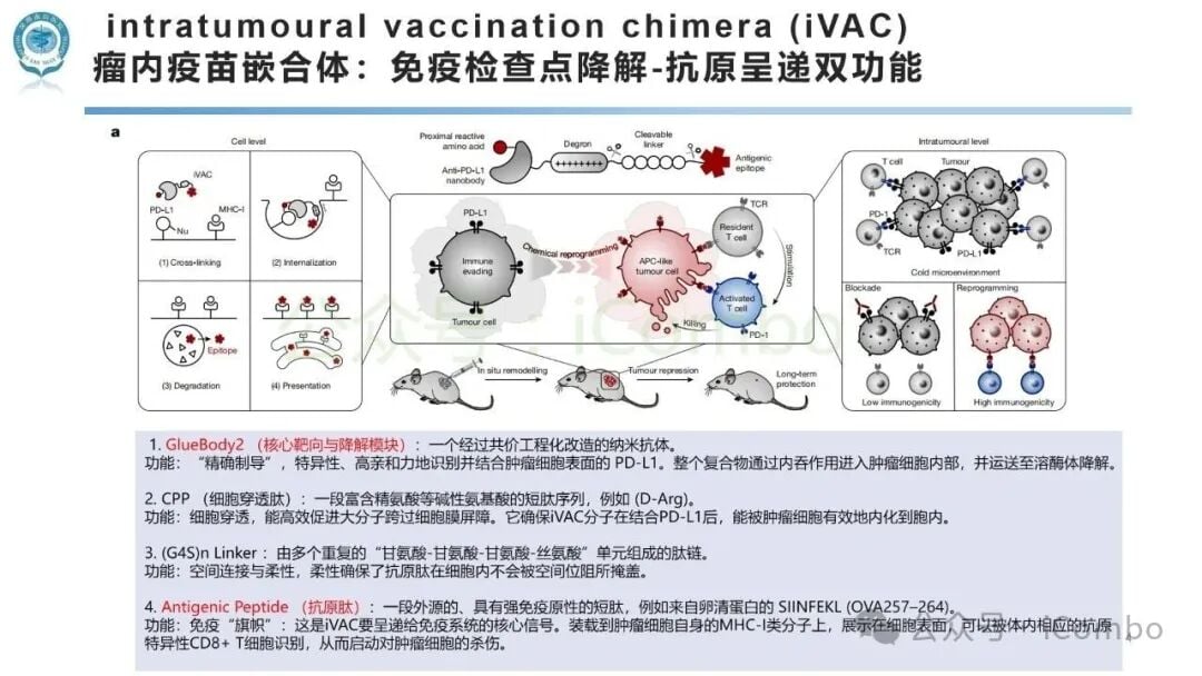 让癌细胞“反水”杀自己!《自然》揭秘iVAC新技术,或将攻克晚期冷肿瘤 4 肿瘤免疫治疗期间的居家护理重点
