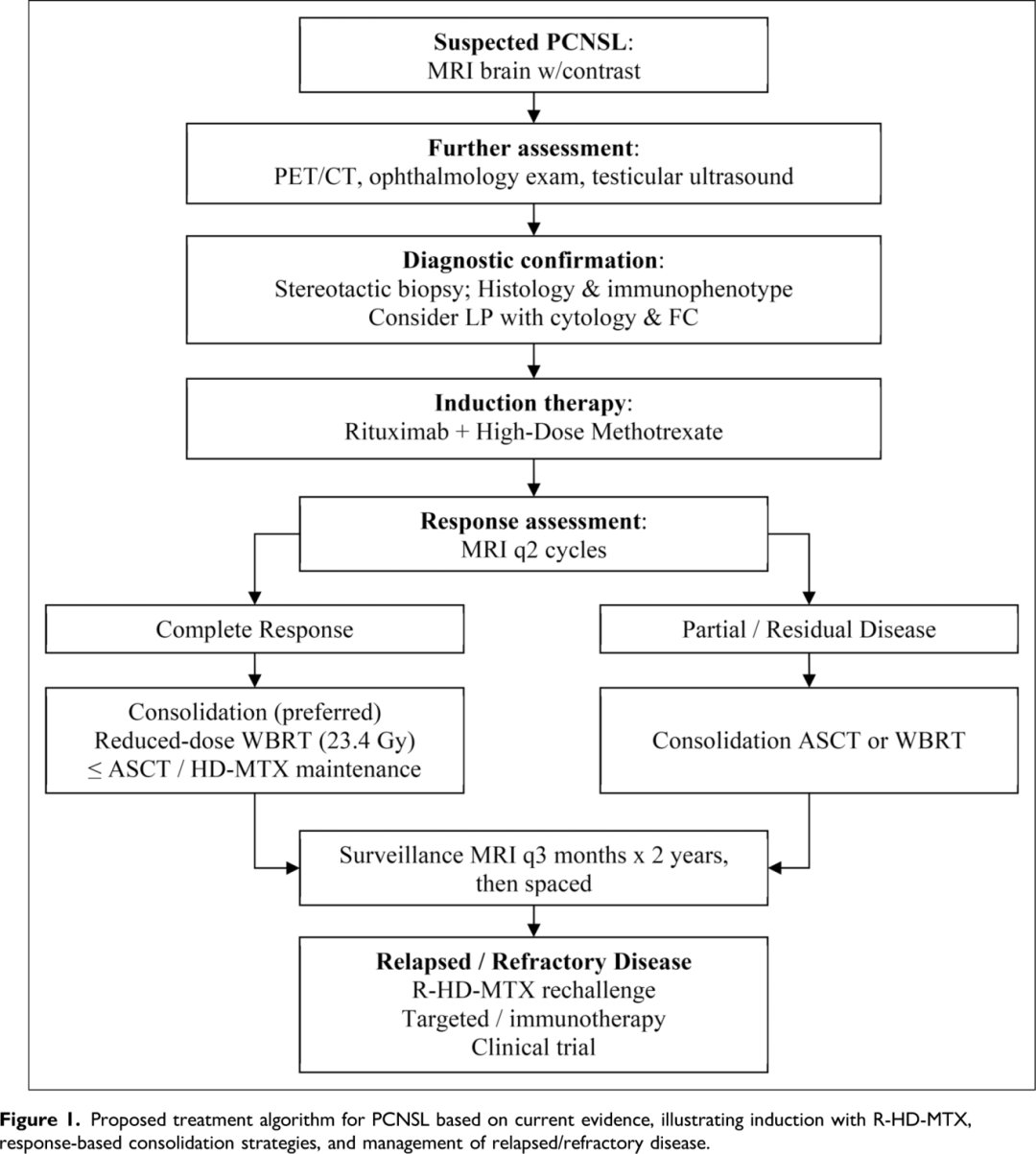 PCNSL原发性中枢神经系统淋巴瘤立体定向活检与病理分型