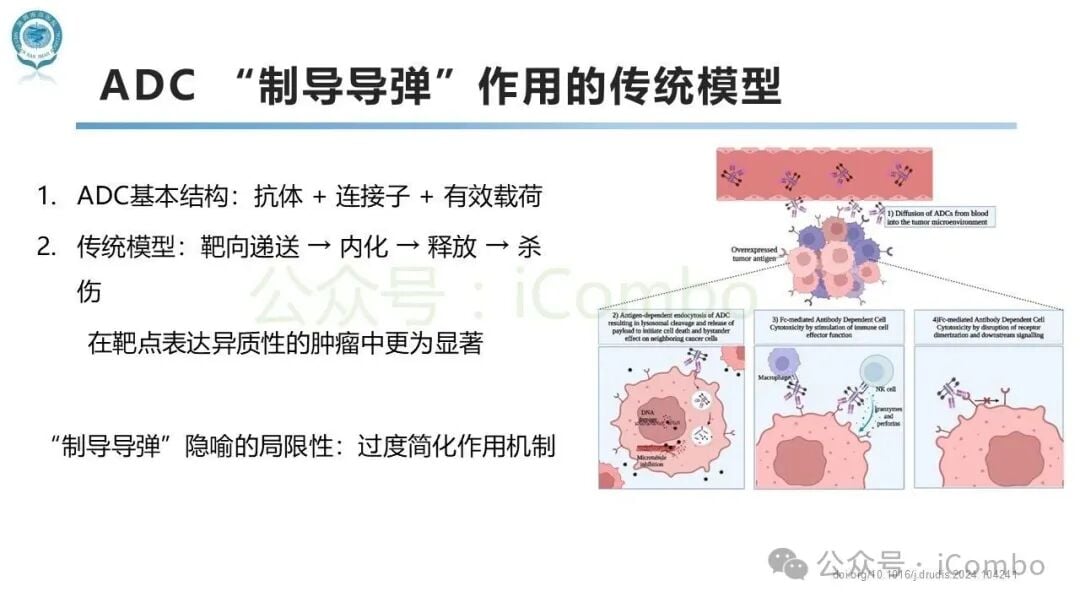 ADC药物体内药代动力学与血液循环中有效浓度分布图