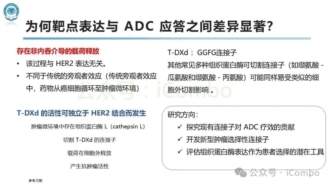 ADC药物旁观者效应(Bystander Effect)释放毒素杀伤相邻肿瘤细胞图