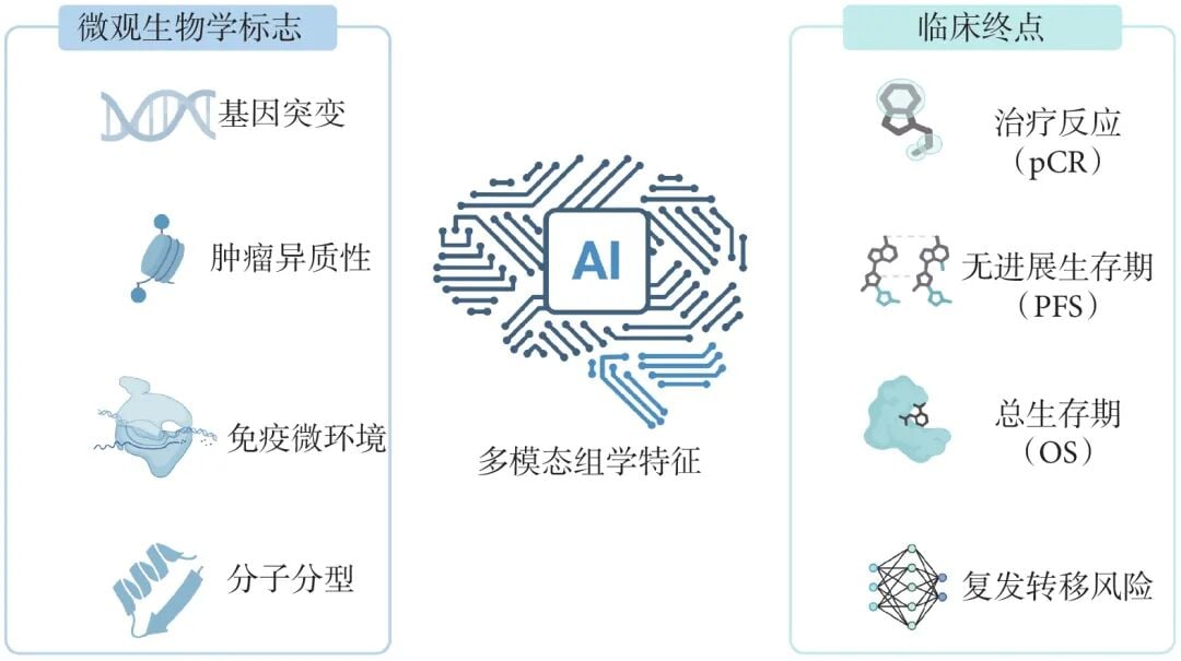 多模态影像基因组学与胸壁肿瘤疗效预测关联图
