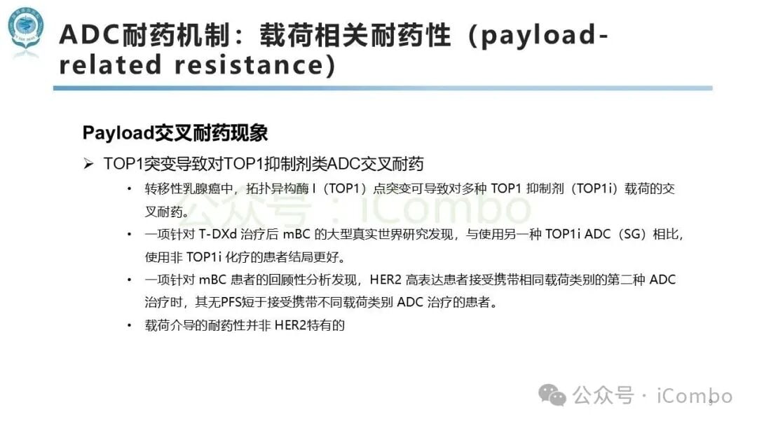 双特异性抗体及双载荷ADC克服肿瘤异质性设计示意图