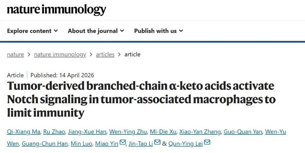 复旦大学发现的肿瘤细胞BCAT1-BCKA代谢通路诱导肿瘤免疫抑制的整体机制示意图