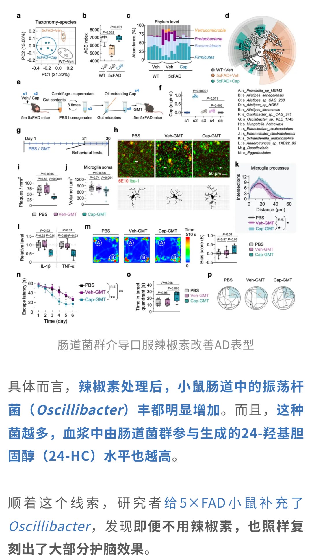 肠道菌群移植对小鼠海马区认知功能改善的影响
