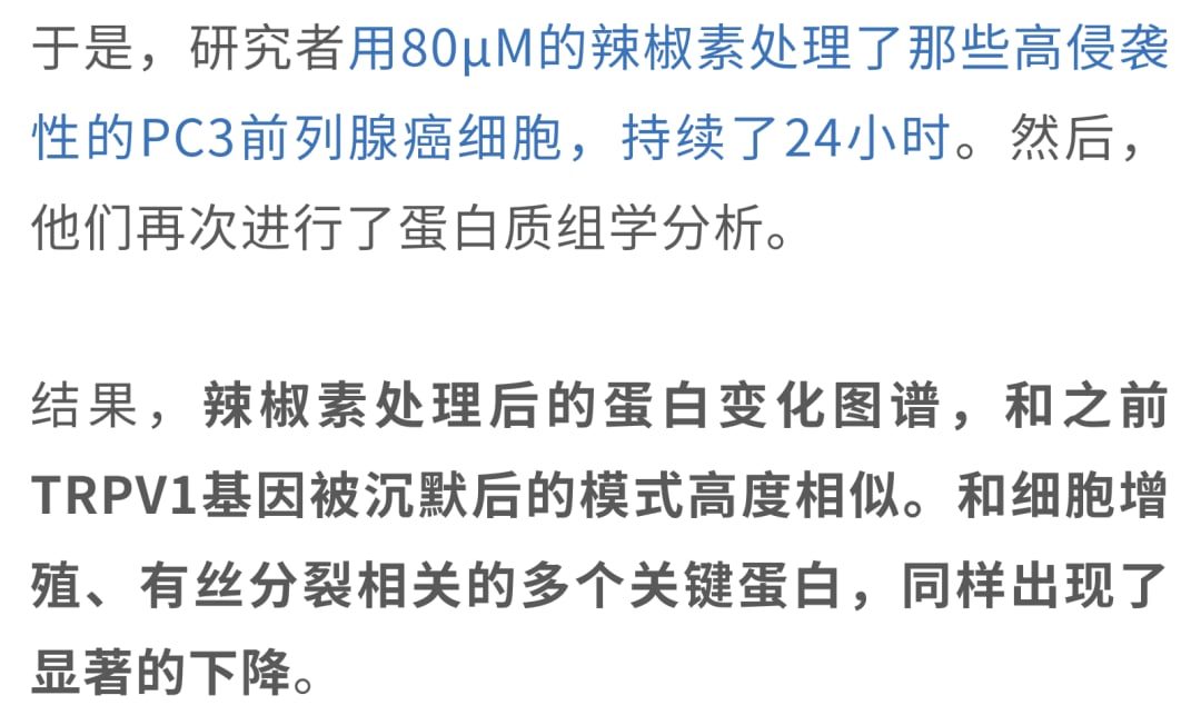 辣椒素促进TRPV1降解从而抑制癌细胞增殖