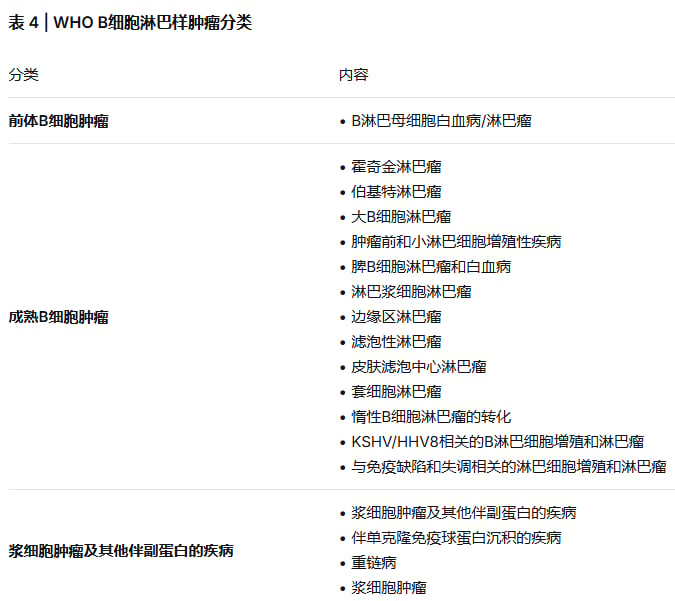 非霍奇金淋巴瘤主要分子分型及病理特征