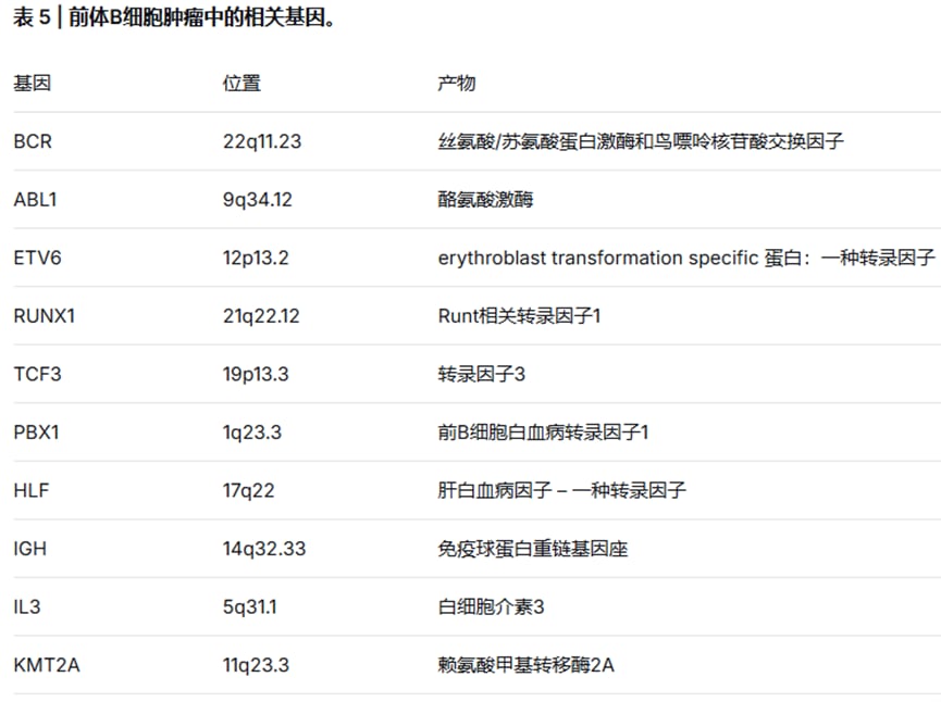 前体B细胞淋巴瘤染色体易位及基因突变图谱