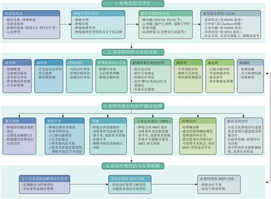 老年肺癌伞形决策诊疗模式多学科评估路径图