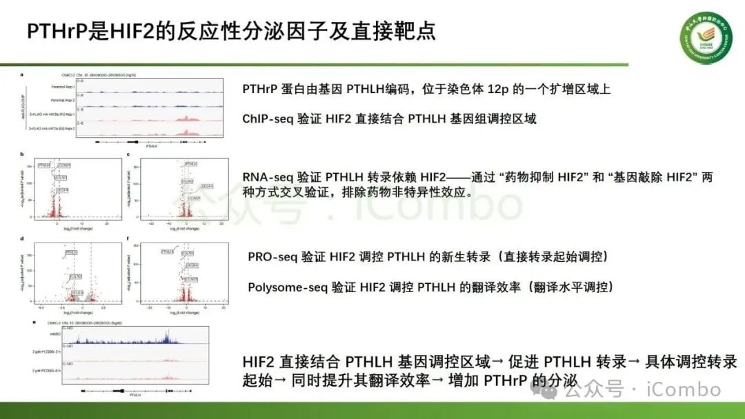 贝组替凡治疗后患者血浆PTHrP水平显著降低
