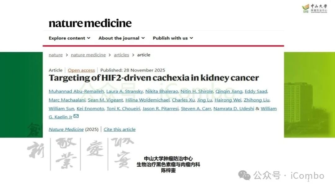 HIF2-PTHrP轴调控机制研究