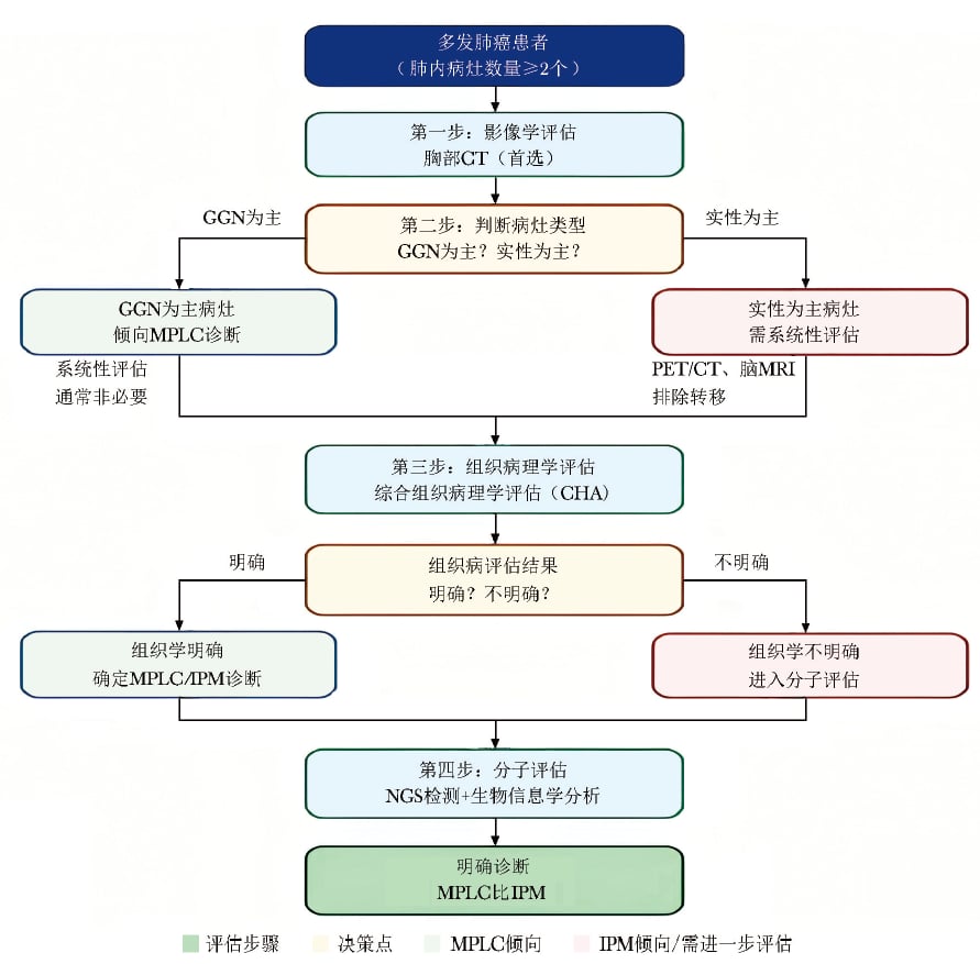 多发肺癌影像学、病理学与分子生物学阶梯式鉴别诊断临床决策流程图