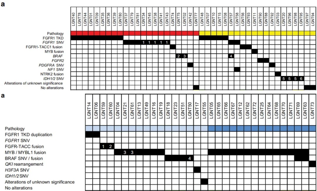 分子病理检测区分不同形态特征的脑胶质瘤