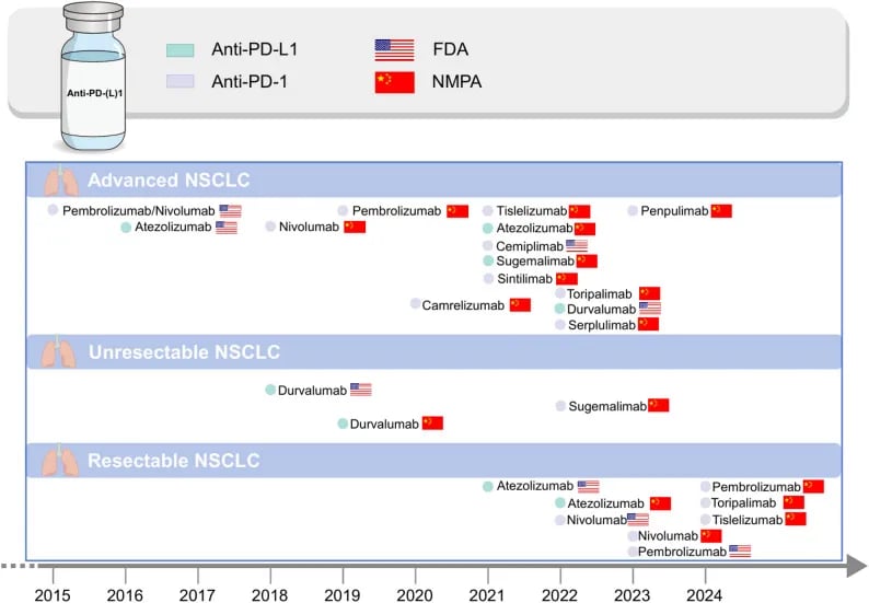 非小细胞肺癌(NSCLC)多阶段免疫治疗策略及临床路径