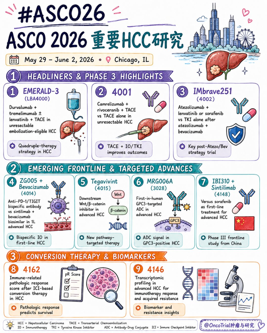 ASCO 2026 晚期肝细胞癌治疗研究成果总结